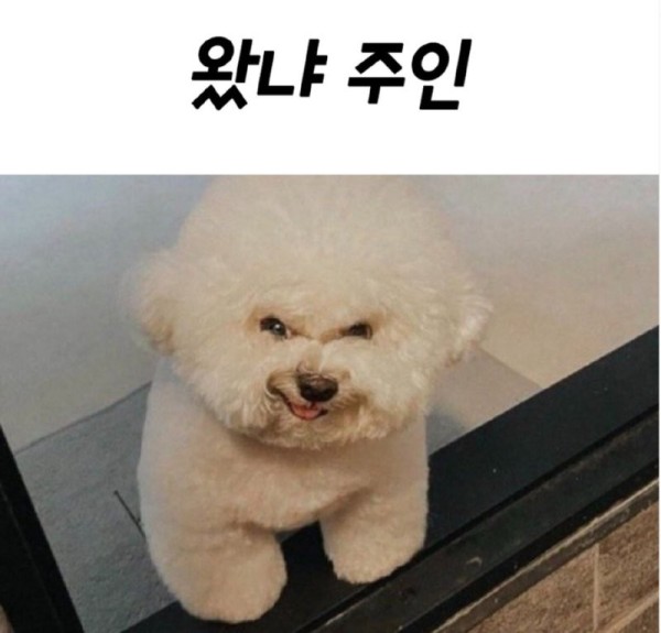 17032302999317.png