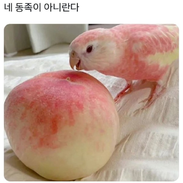 17032303017455.png