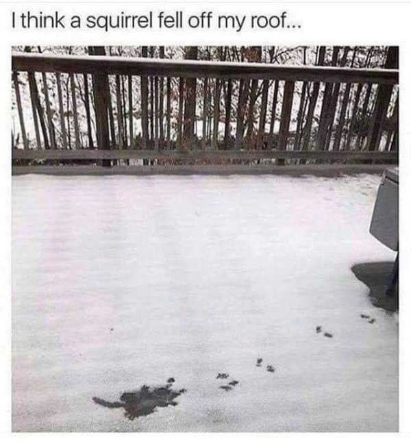 1703250098067.jpg