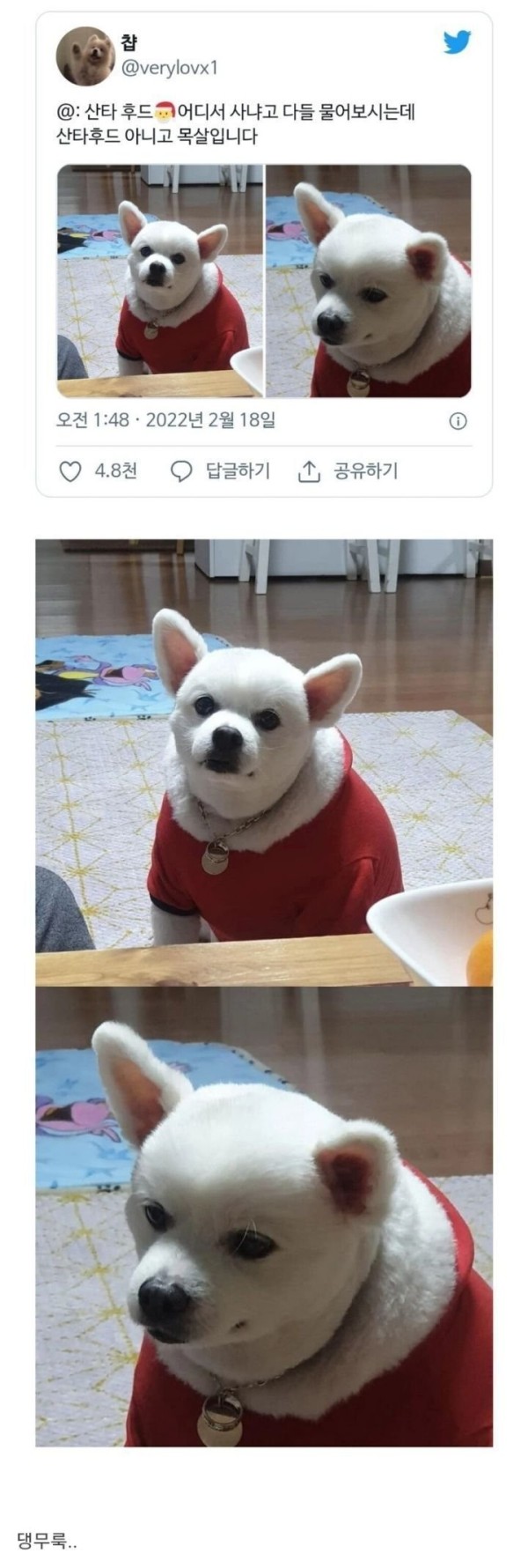 17035075011325.jpg