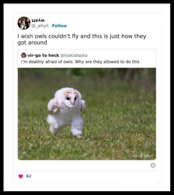 17036029011942.jpg
