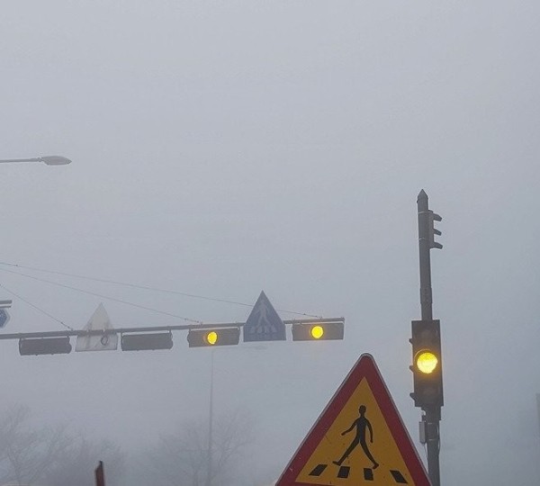 17037252894821.jpg