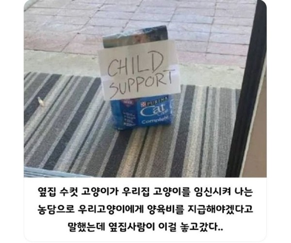 17037486945776.jpg