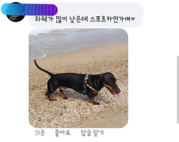 1703782895256.jpg