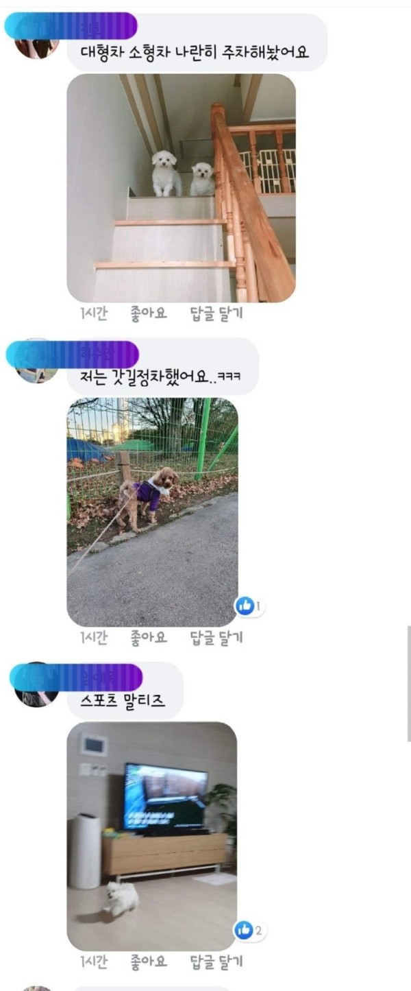 17037828957679.jpg