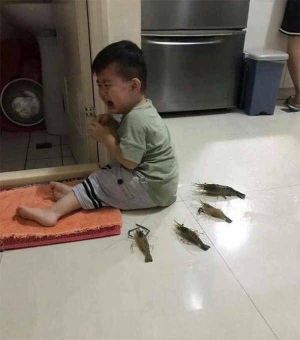 17041663037397.jpg