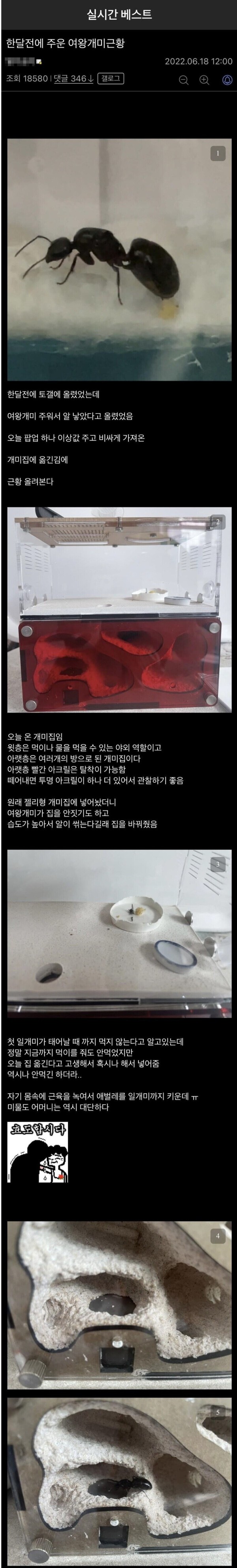 1704200503342.jpg