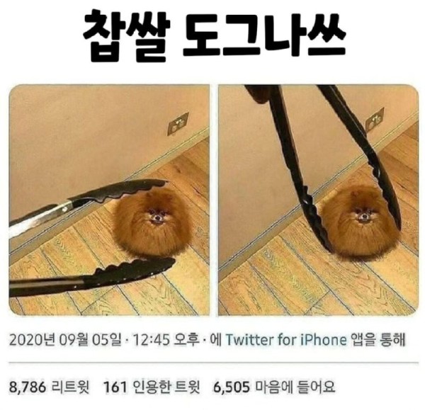17042778979924.png
