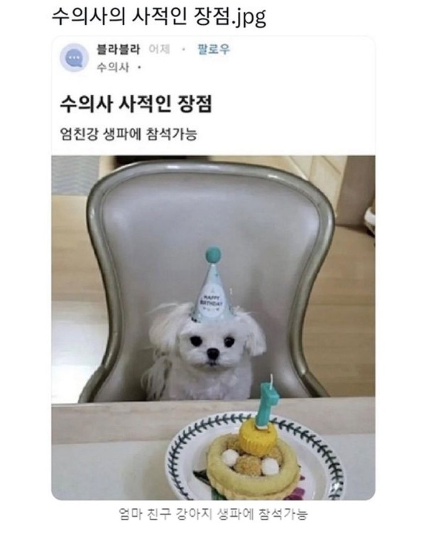 17043823009812.jpg
