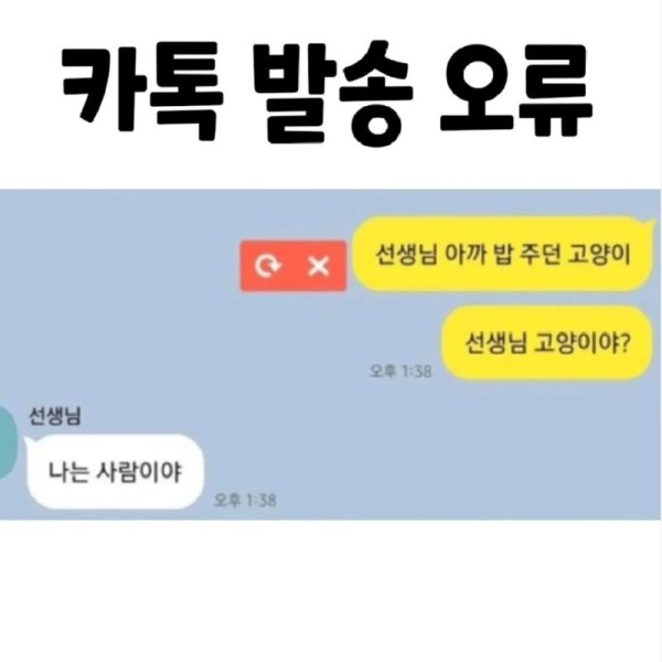17044434839557.png