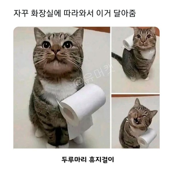 17044435018933.jpg
