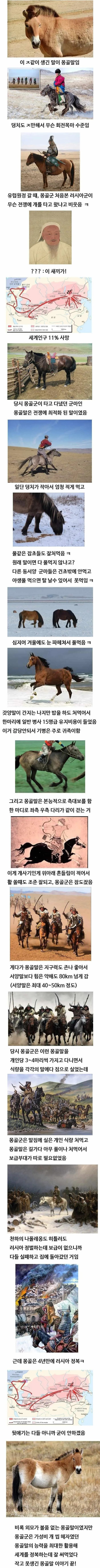 1704452494721.jpg