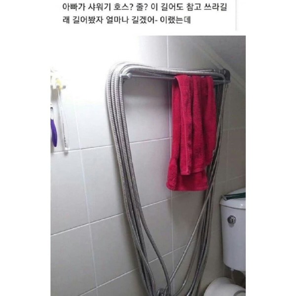 17045317006261.jpg