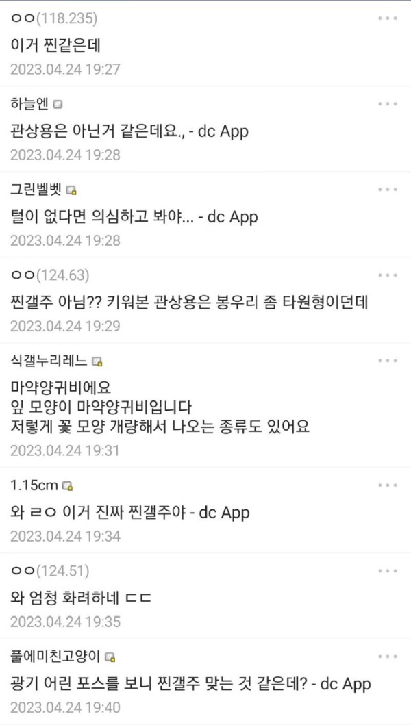 17045532932093.jpg
