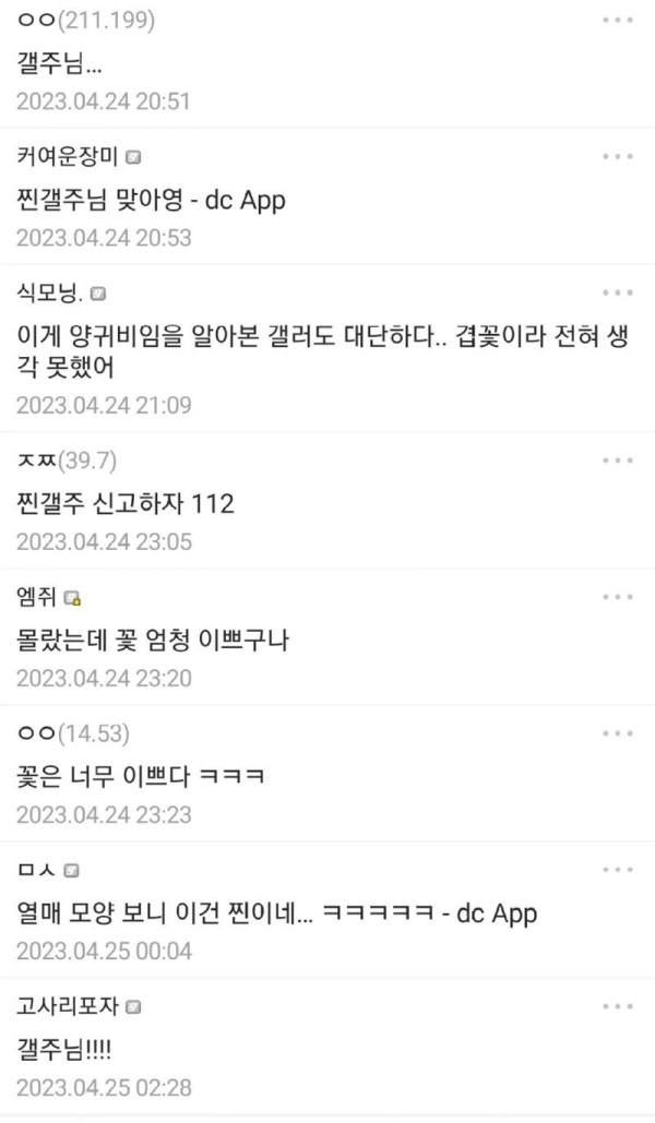 17045532937039.jpg