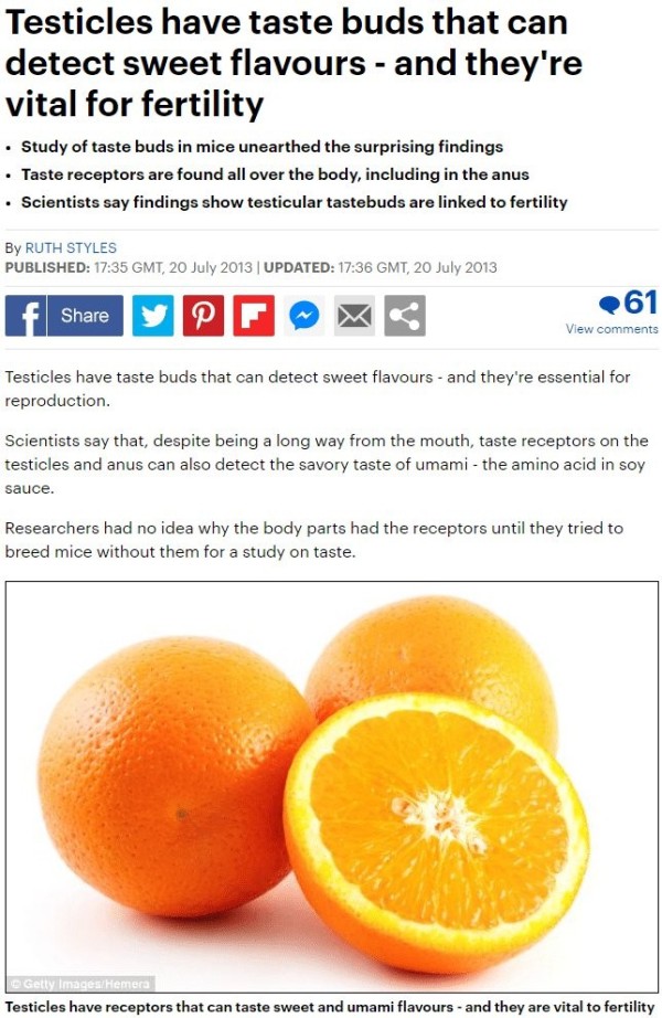 17048106987393.png