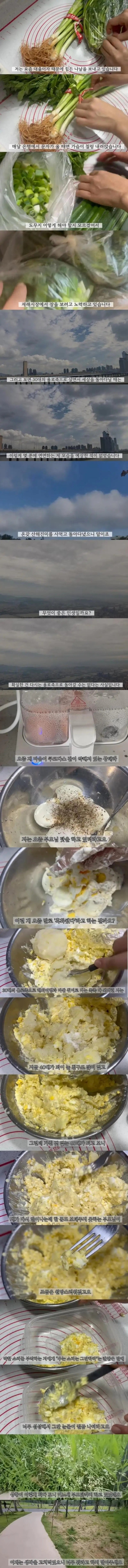 17050176876777.jpg