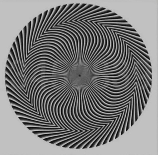 17050375049903.jpg