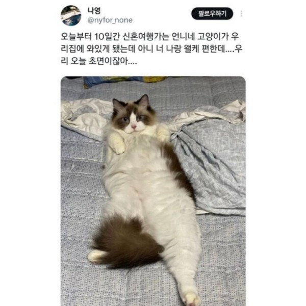 17050698873887.jpg