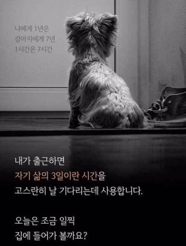 17052012981012.jpg