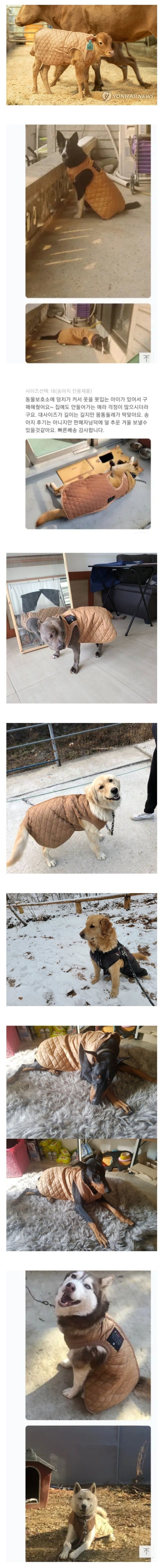 17054803013399.jpg
