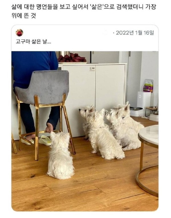 17055684991465.jpg