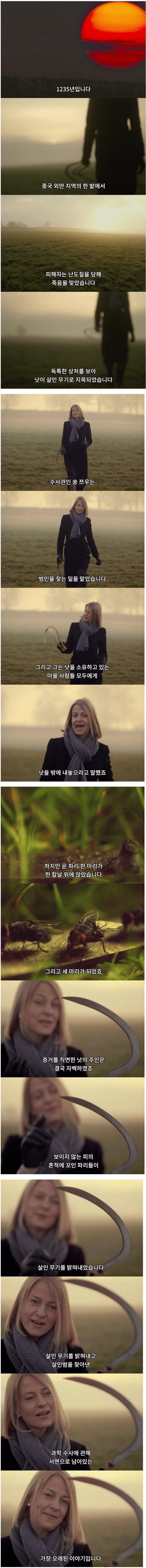 17056818873562.png