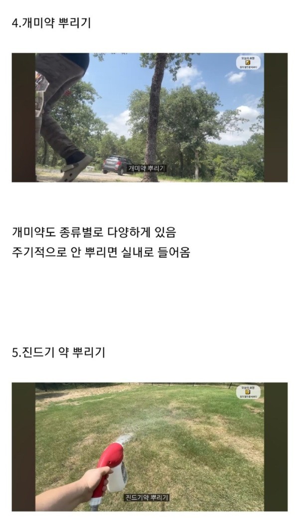 17056872978316.jpg