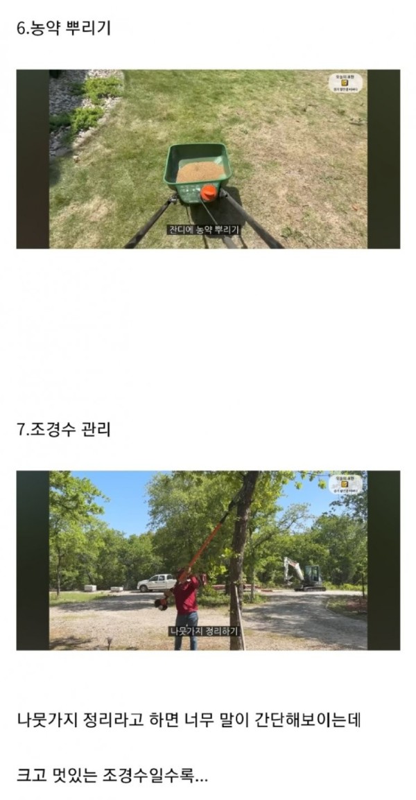 1705687298337.jpg