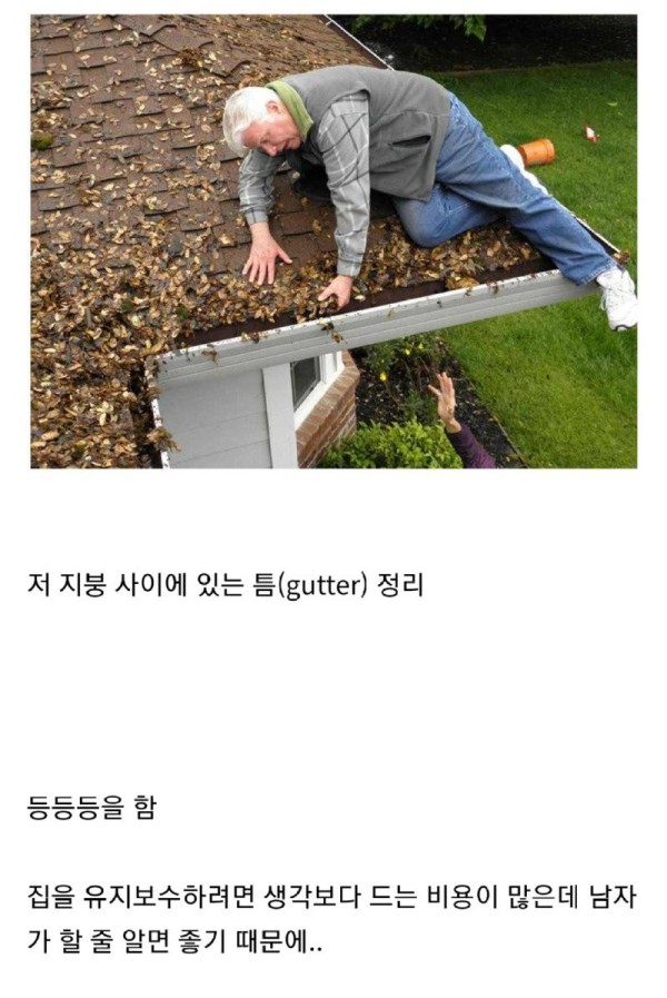 17056873011342.jpg