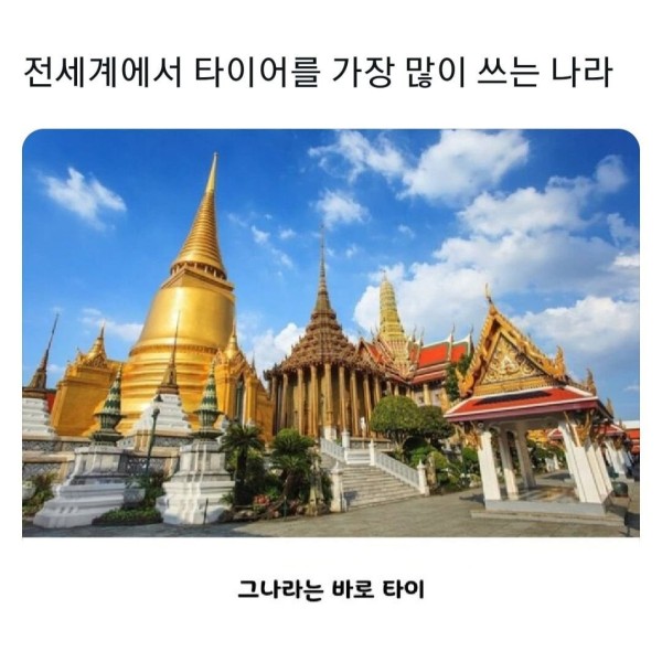 17058349003594.jpg