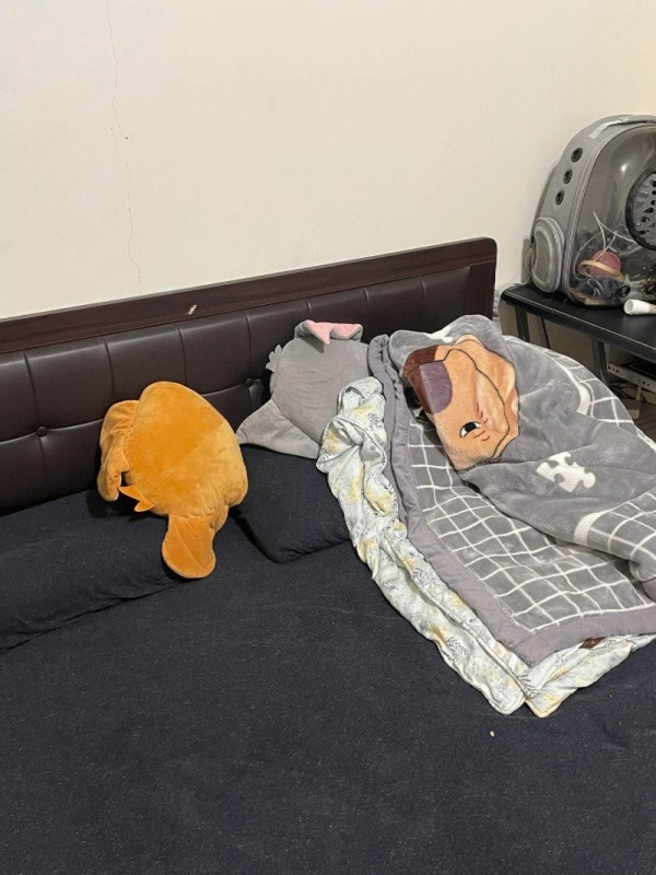 17058366973792.jpg