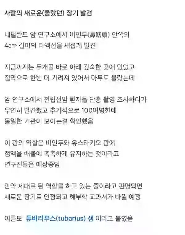 17060634513654.webp