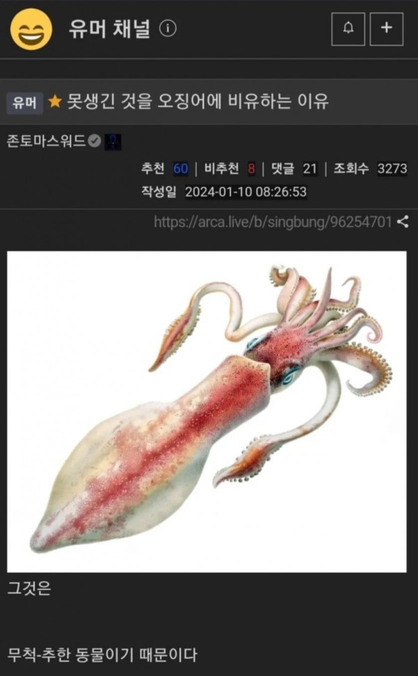 17060670468229.jpg
