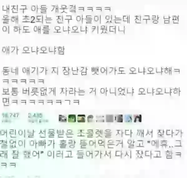 17060760456946.webp