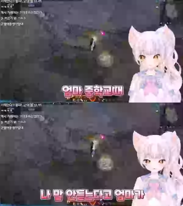 17060832446985.webp