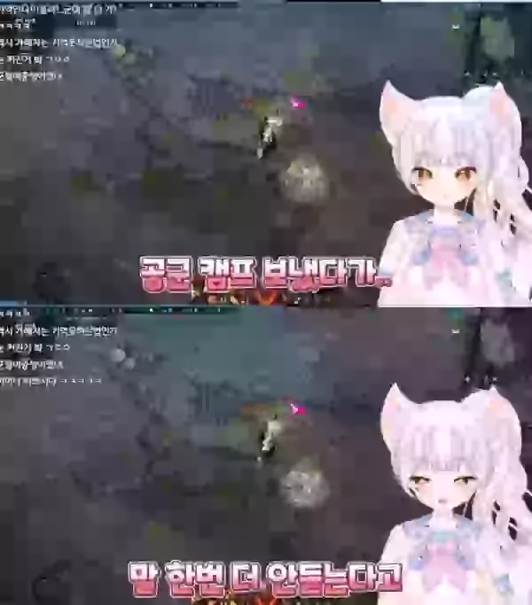 17060832447141.webp