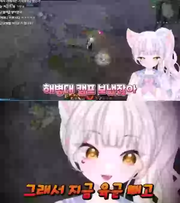 1706083244728.webp