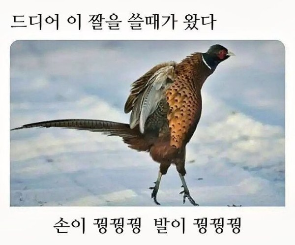 17060833016317.jpg