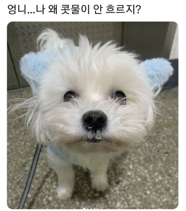 17061066396635.png
