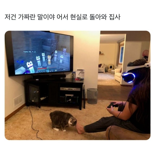 17061354996535.jpg