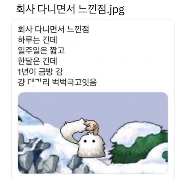 17061570454196.jpeg