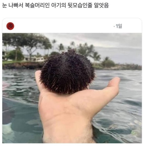17062344501724.jpg