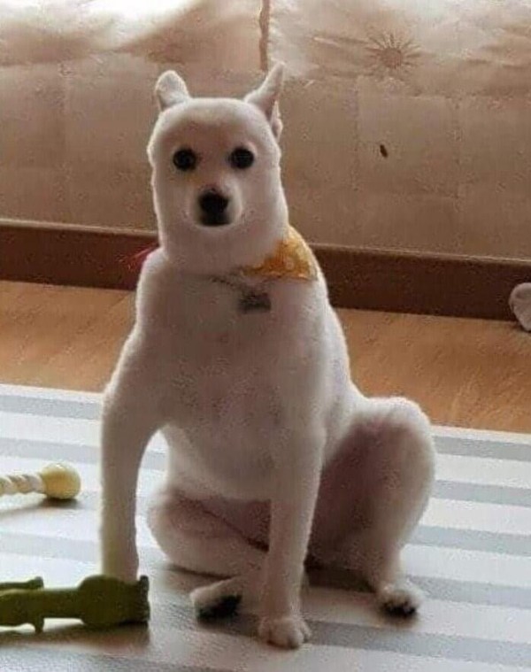 17062542363928.jpeg