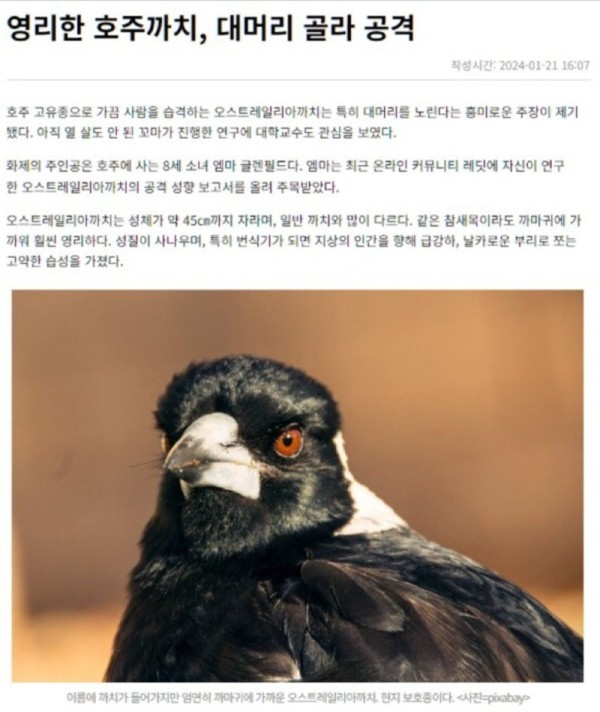 17062596982828.jpg