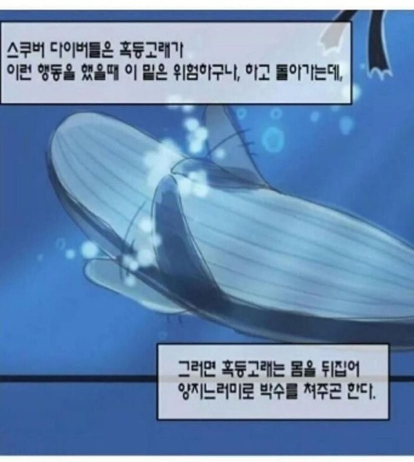 17063136473779.jpg