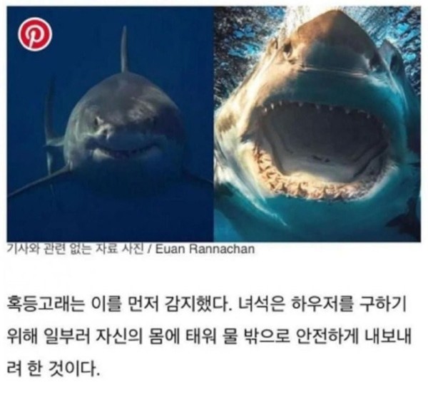 170631730553.jpg