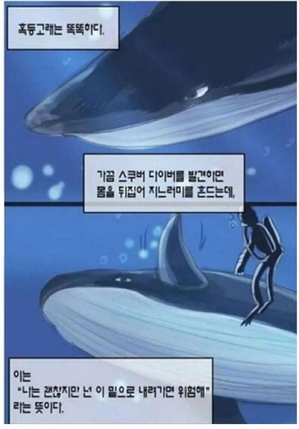 17063173060229.jpg