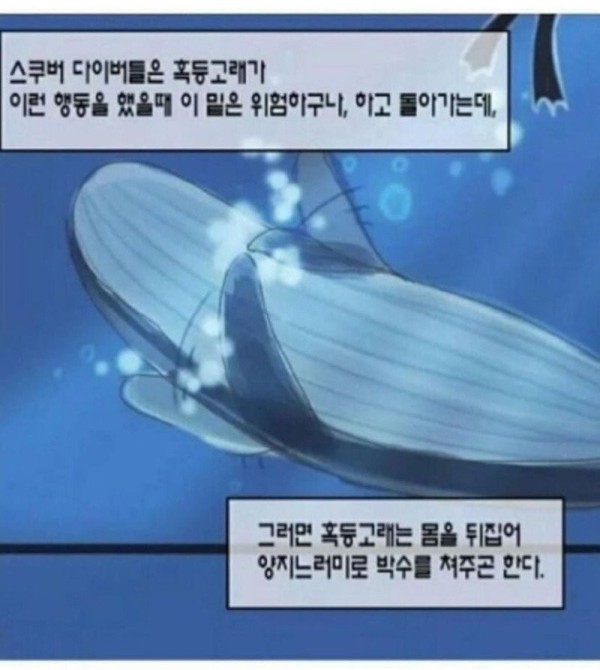 17063173065393.jpg