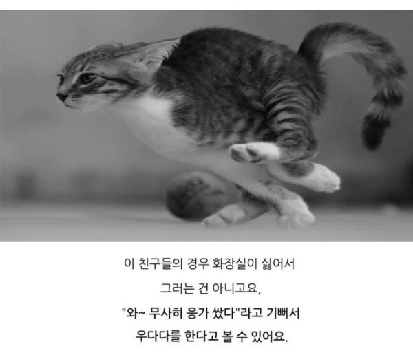 17063460510421.jpeg